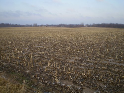 Property photo 7 - 71 Acres Offered in 2 Tracts